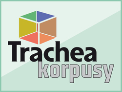 TRACHEA KORPUSY: ROK NA TRHU